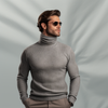 Aldo Turtleneck